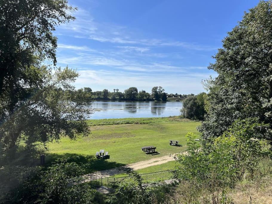 * Domaine De La Solaie * - Proche Bords De Loire Βίλα Saint-Denis-de lʼHôtel Εξωτερικό φωτογραφία